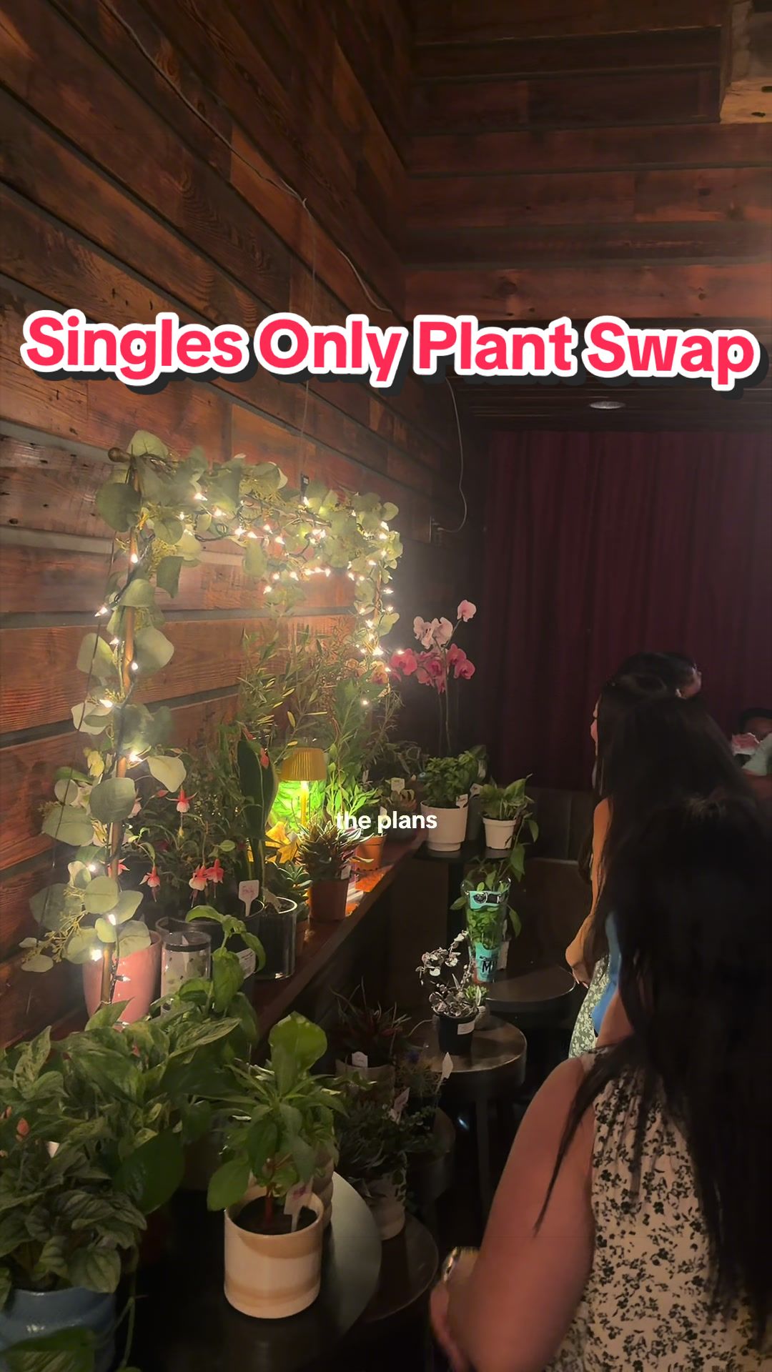 @Yoshi