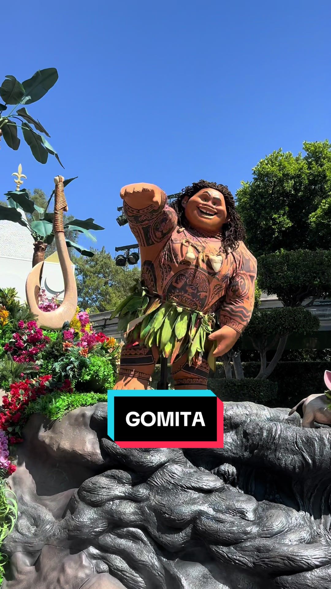 @En Disneylandia