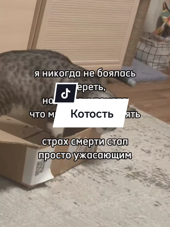 @🩸маньячка🩸