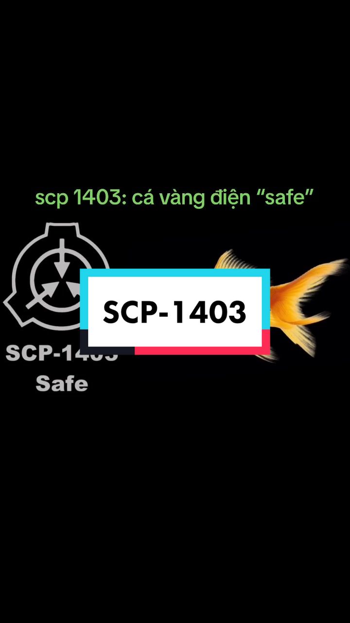 @🔥🇻🇳SCP Việt Nam🇻🇳🔥
