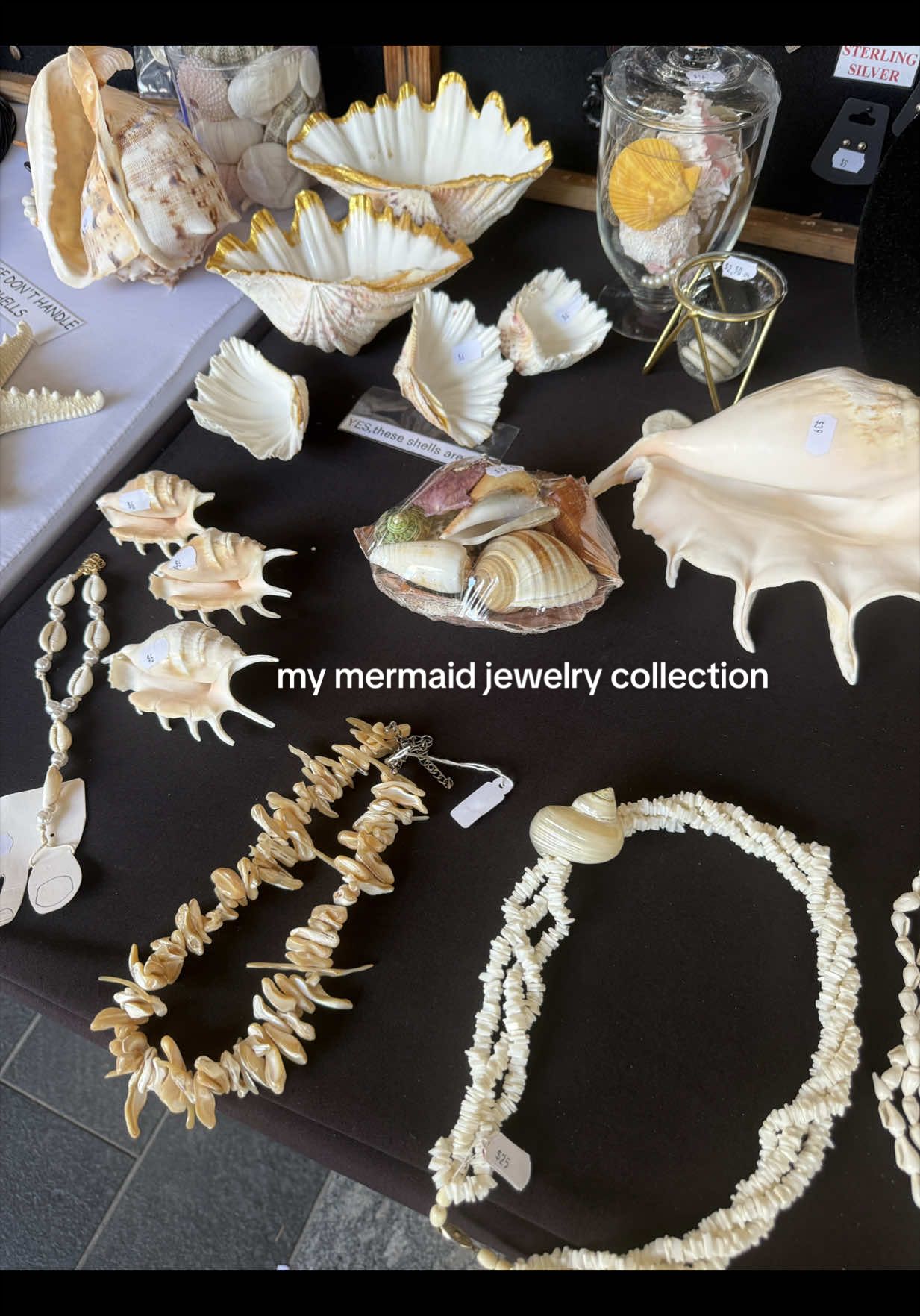 @maddy mermaid