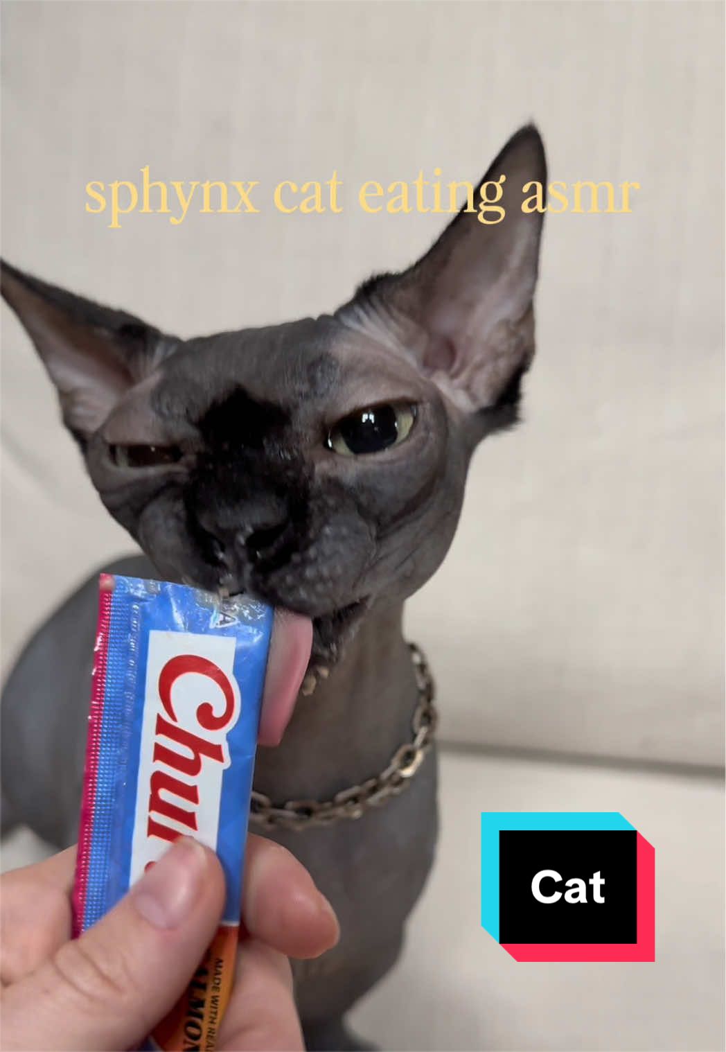 @Lucille Bald