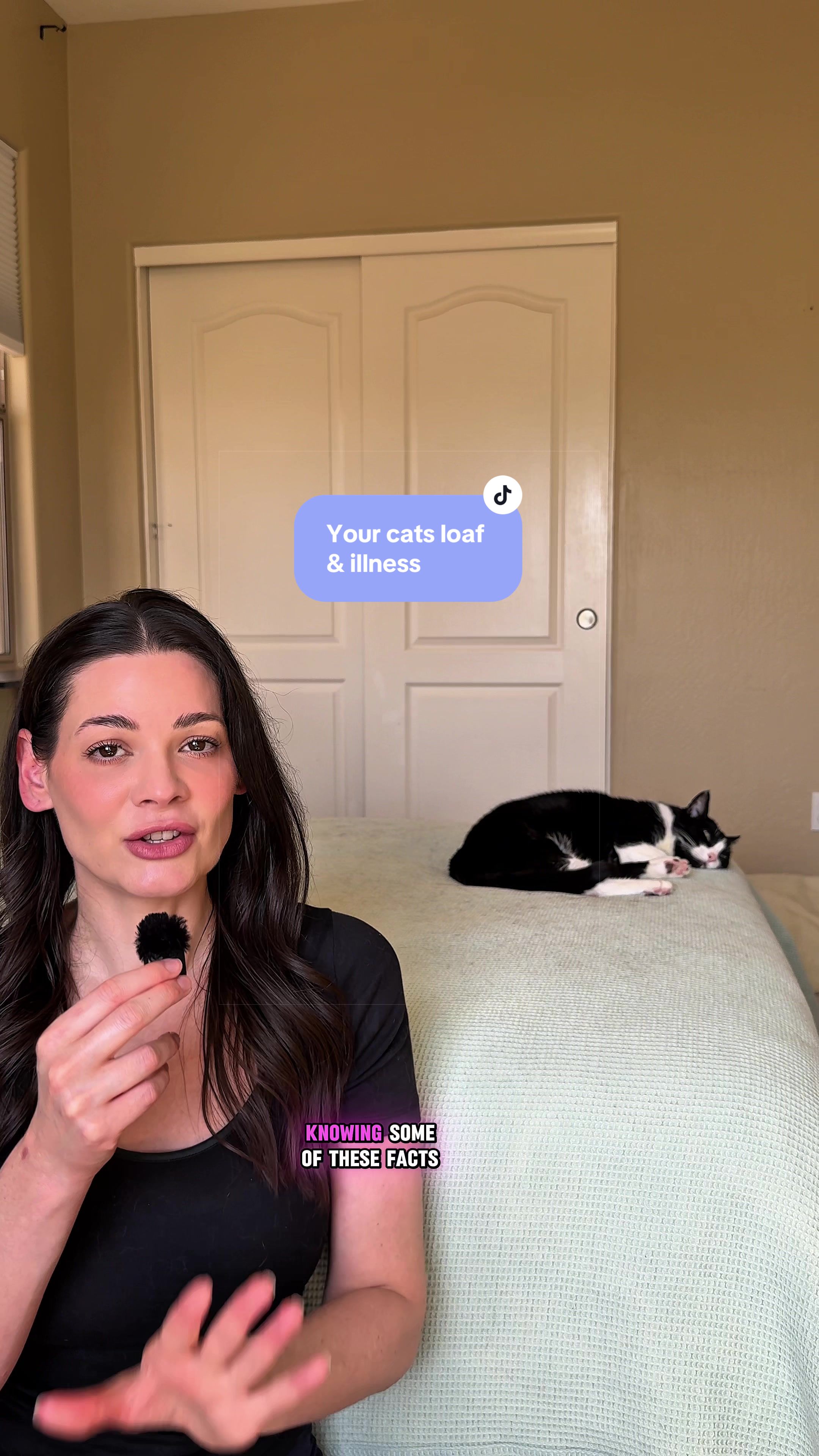 @Feminist Kitty | Cat Nutrition