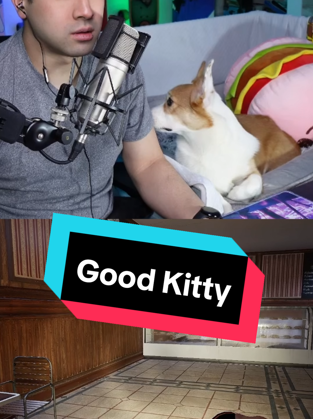 @Protocorg | Twitch Streamer