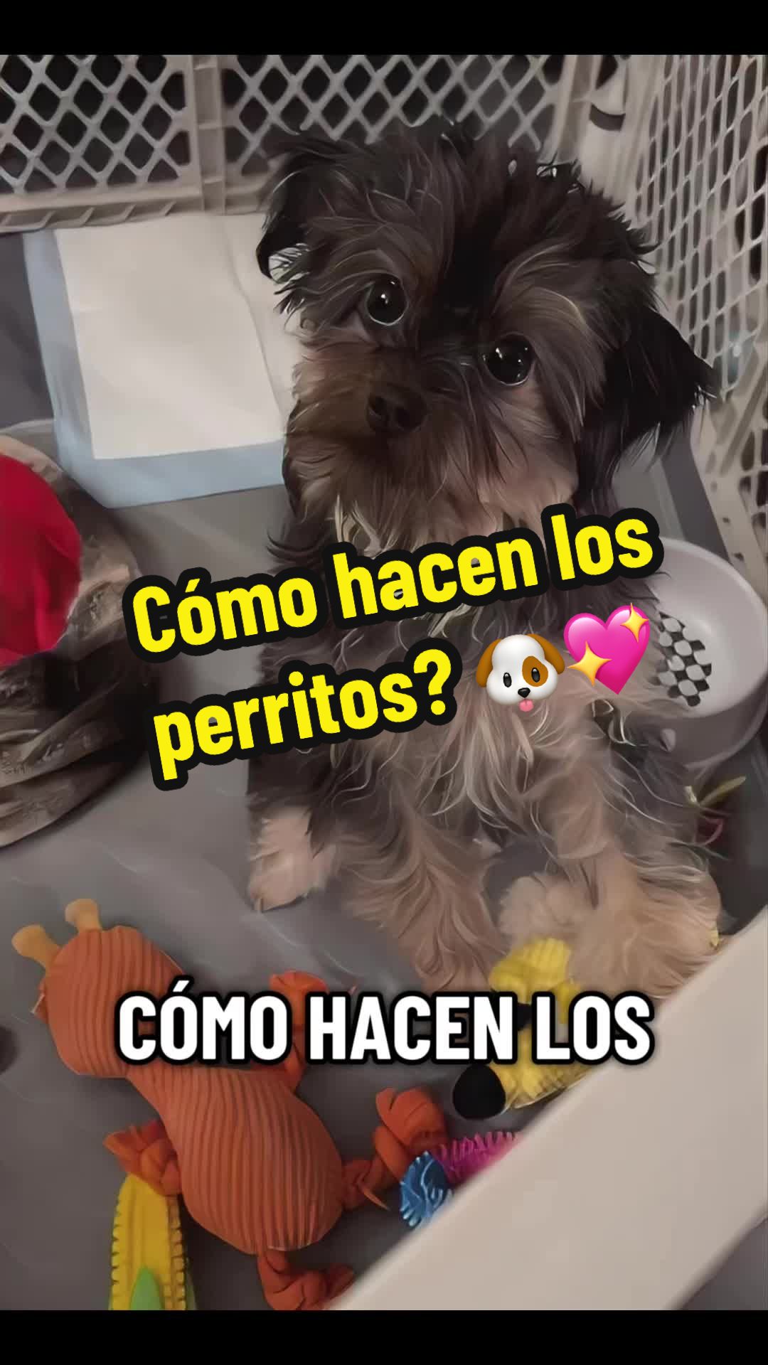 @Aremony