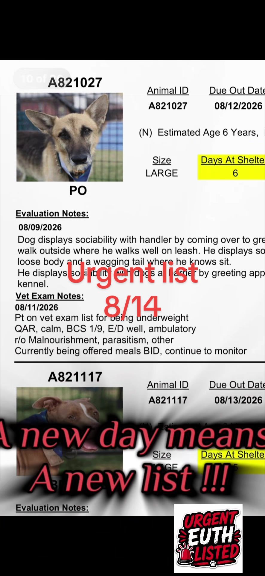 @ʙᴇᴛʜᴇɪʀᴠᴏɪᴄᴇ1🐾PSP1🫶🏻🐾🐶❤️