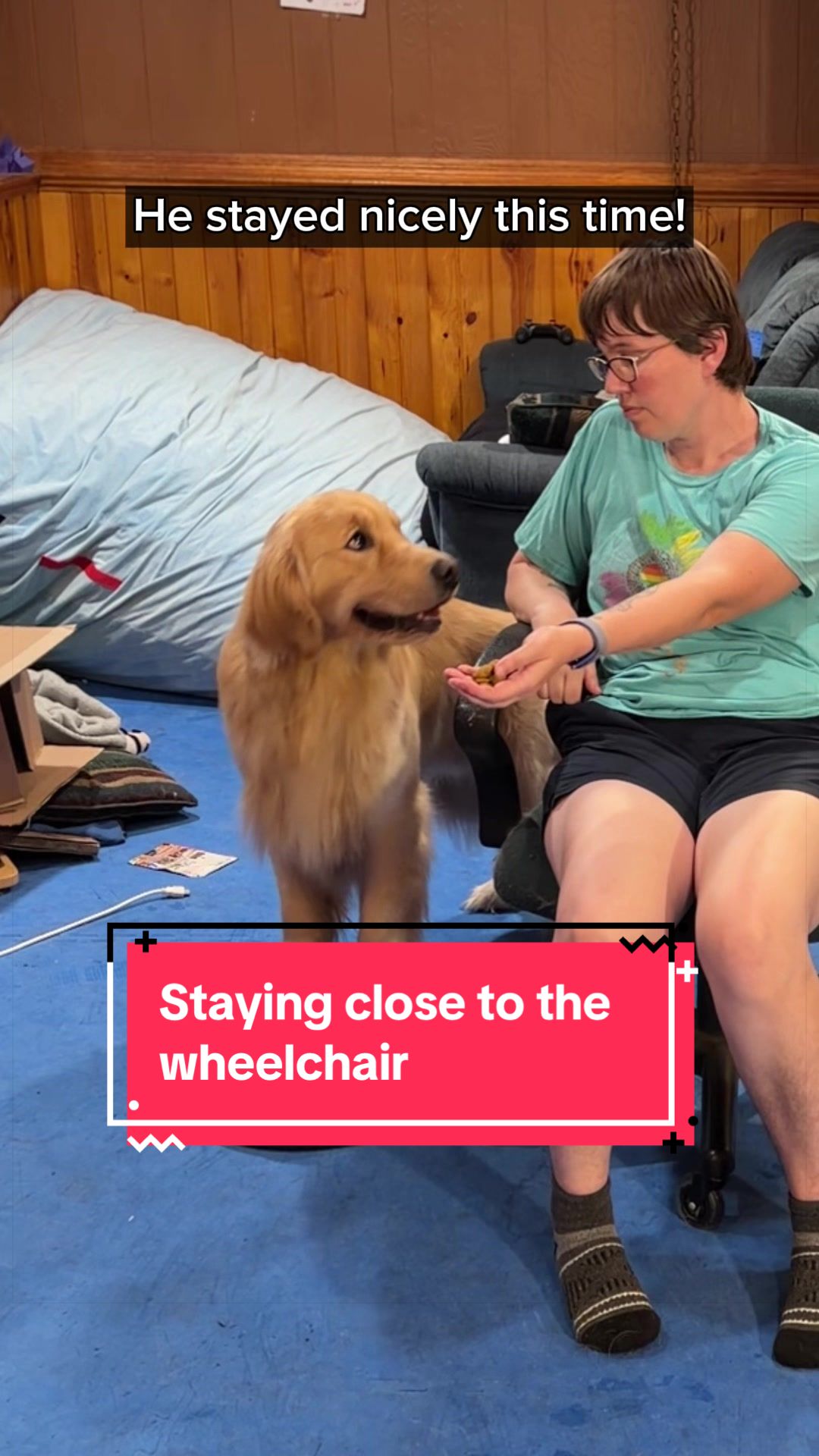 @Laura Waudby - Dog Sports