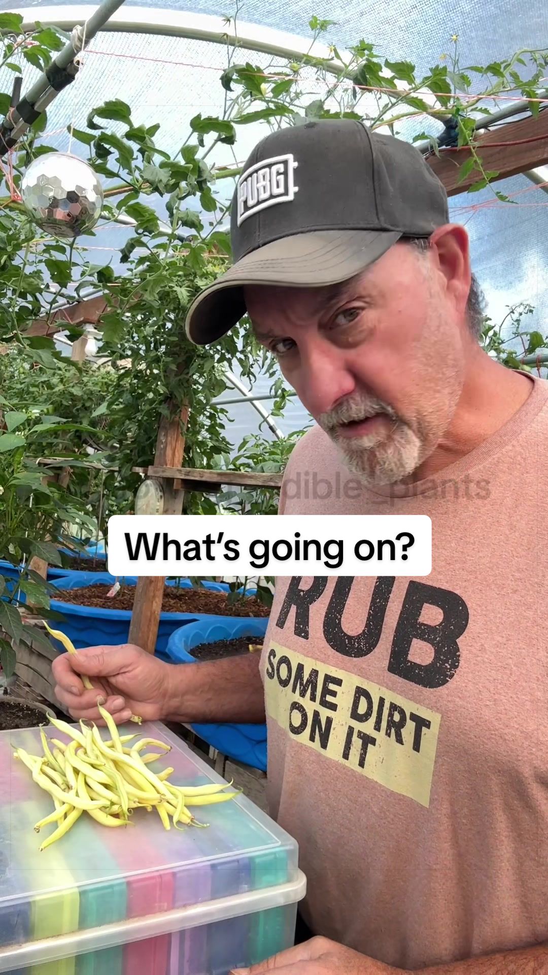 @GROWING_EDIBLE_PLANTS