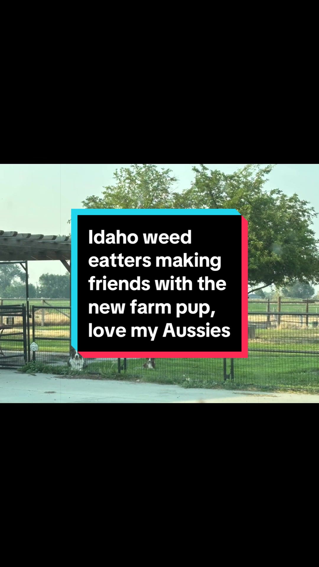 @gypsycowgirl_Idaho