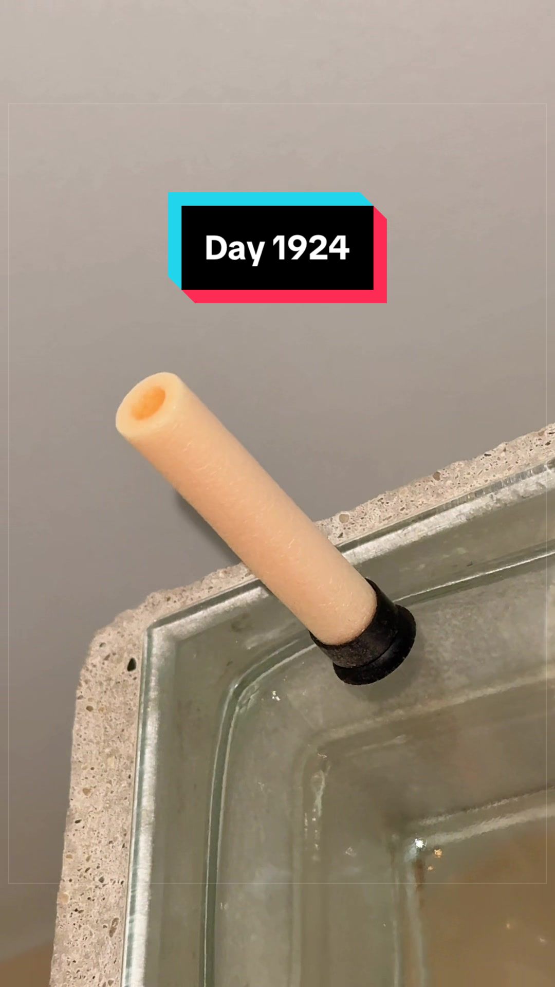 @The Immortal Nerf Dart