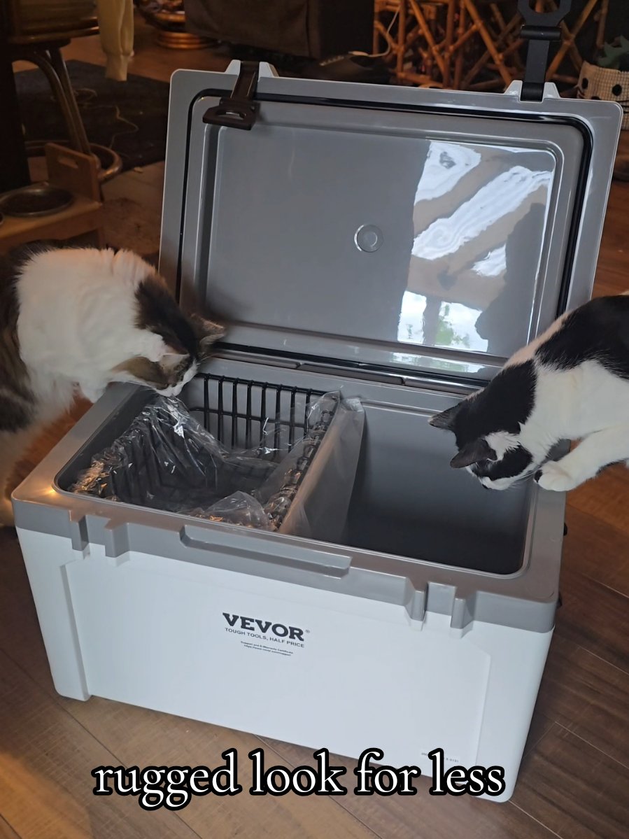 @𝓚𝓪𝓽 𝓦𝓱𝓮𝓮𝓵𝓮𝓻🐈&zwj;⬛