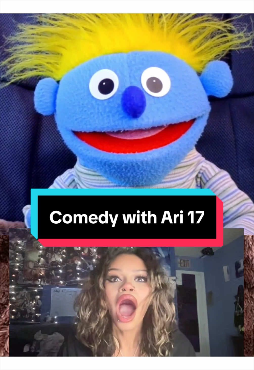 @PeterPrankster