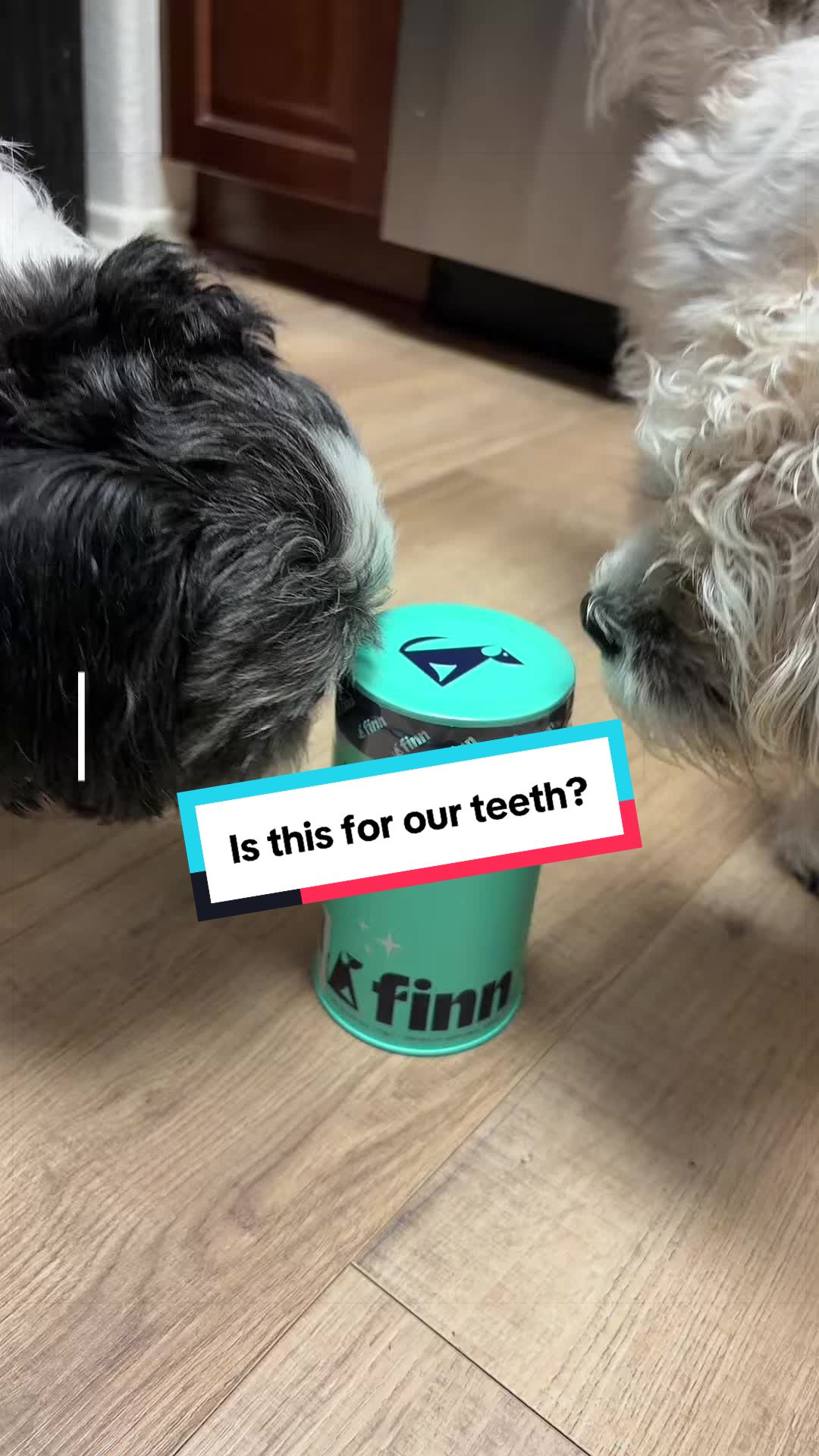 @livinlifewithsugieandsonny