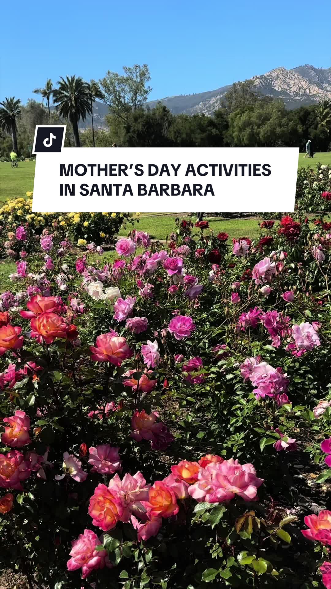 @Visit Santa Barbara