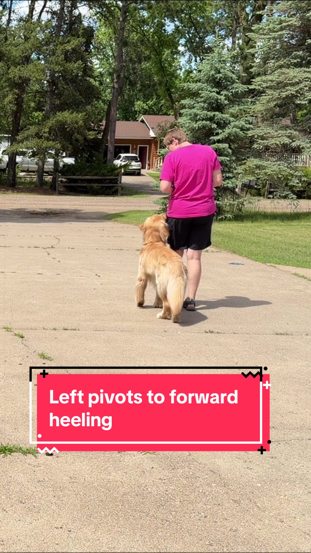@Laura Waudby - Dog Sports