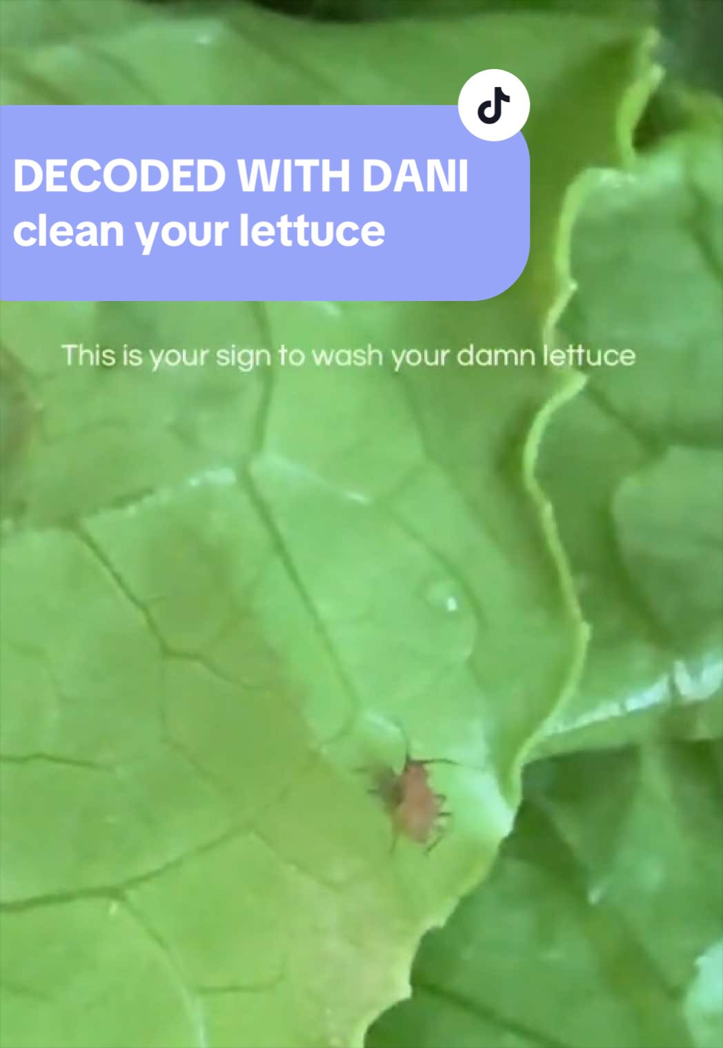 @Danielle Nicole
