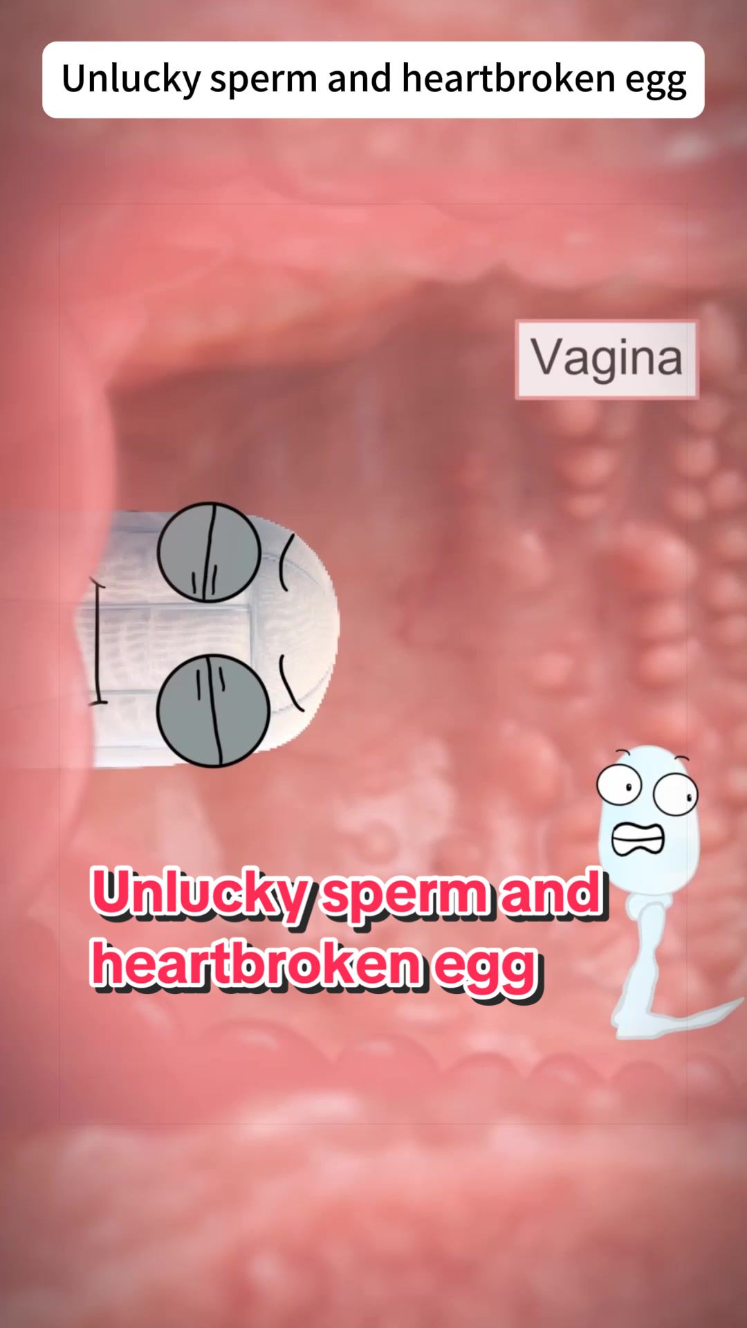 @Funny Animations