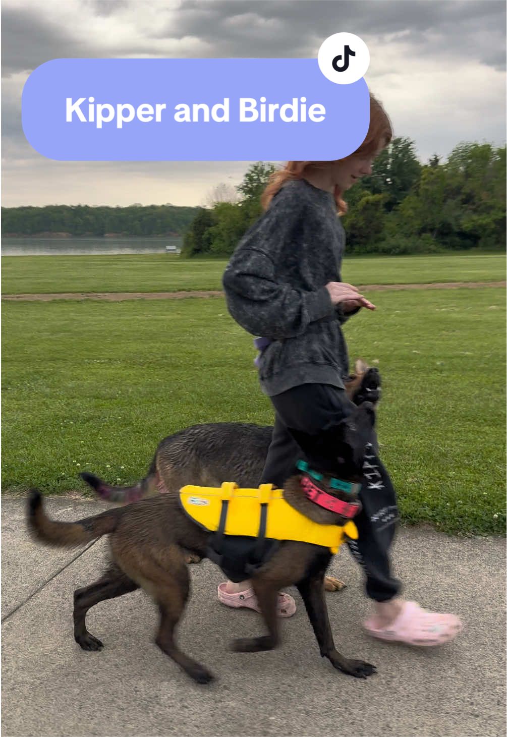 @Kay and Kipper 🐕