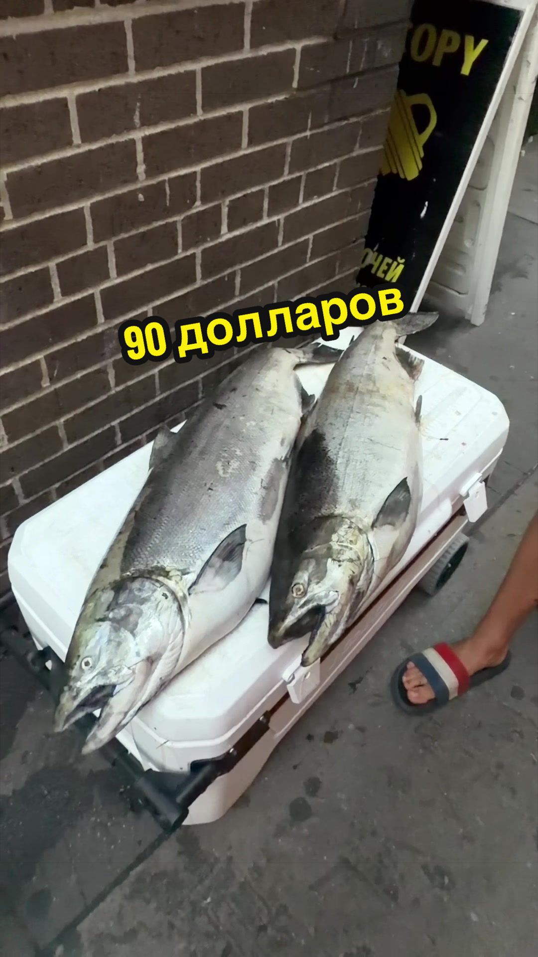 @Zolushka