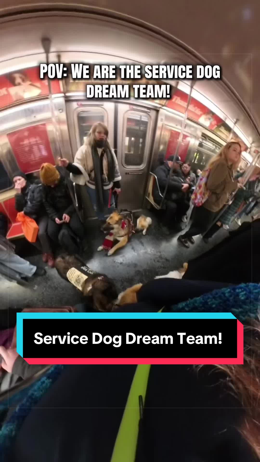 @Dakota & Pups