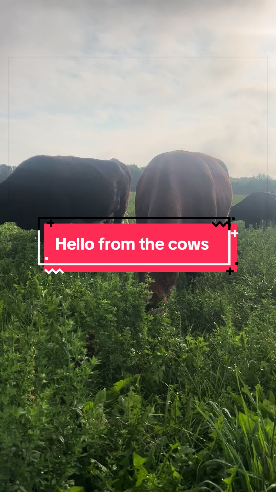 @littlesandycreekfarm