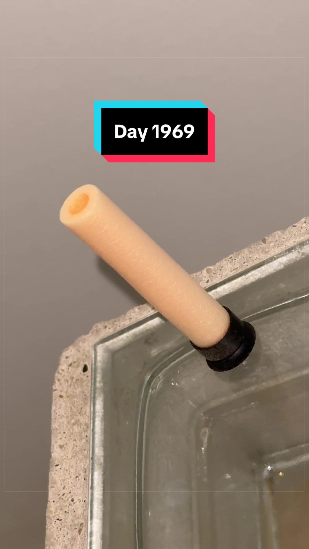 @The Immortal Nerf Dart
