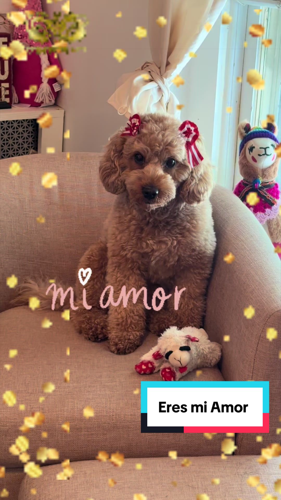 @PattyLove BabyNova 🐾🎀🥰