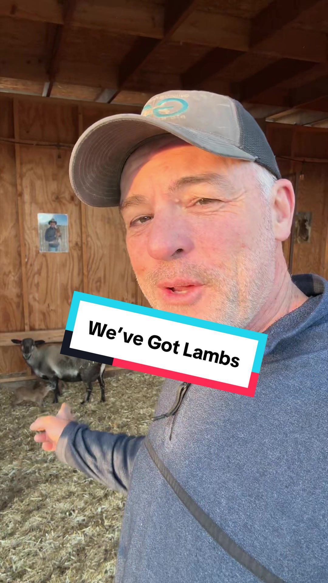 @cowboymax