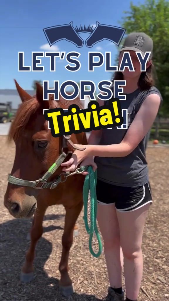@Days End Farm Horse Rescue