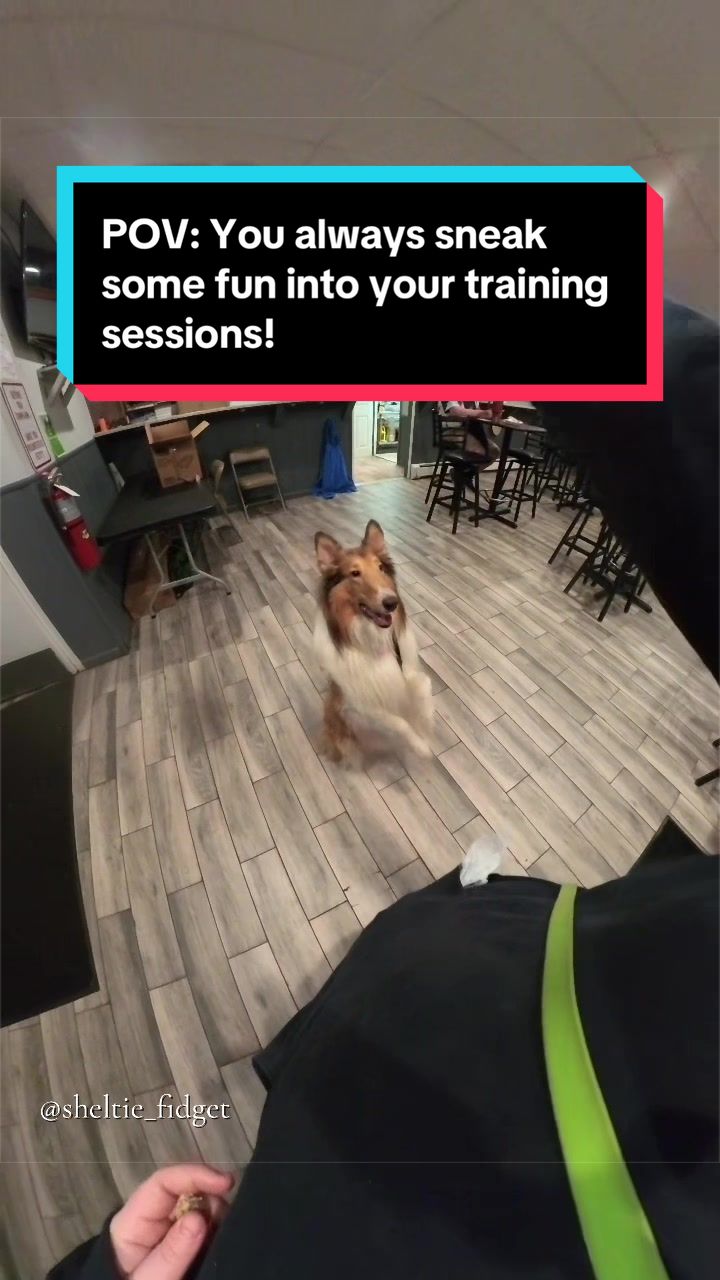@Dakota & Pups