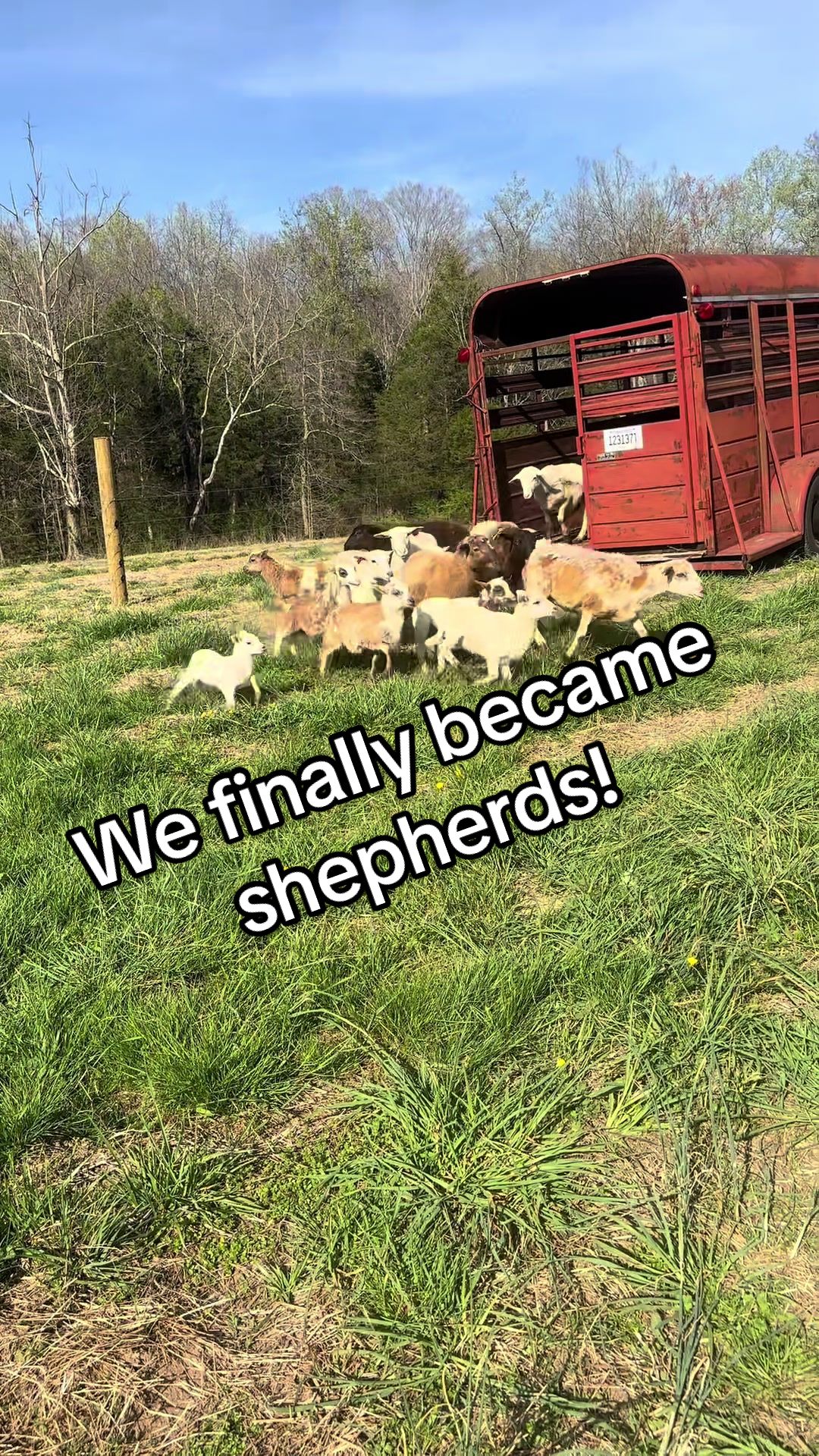 @CopperHollerFarm