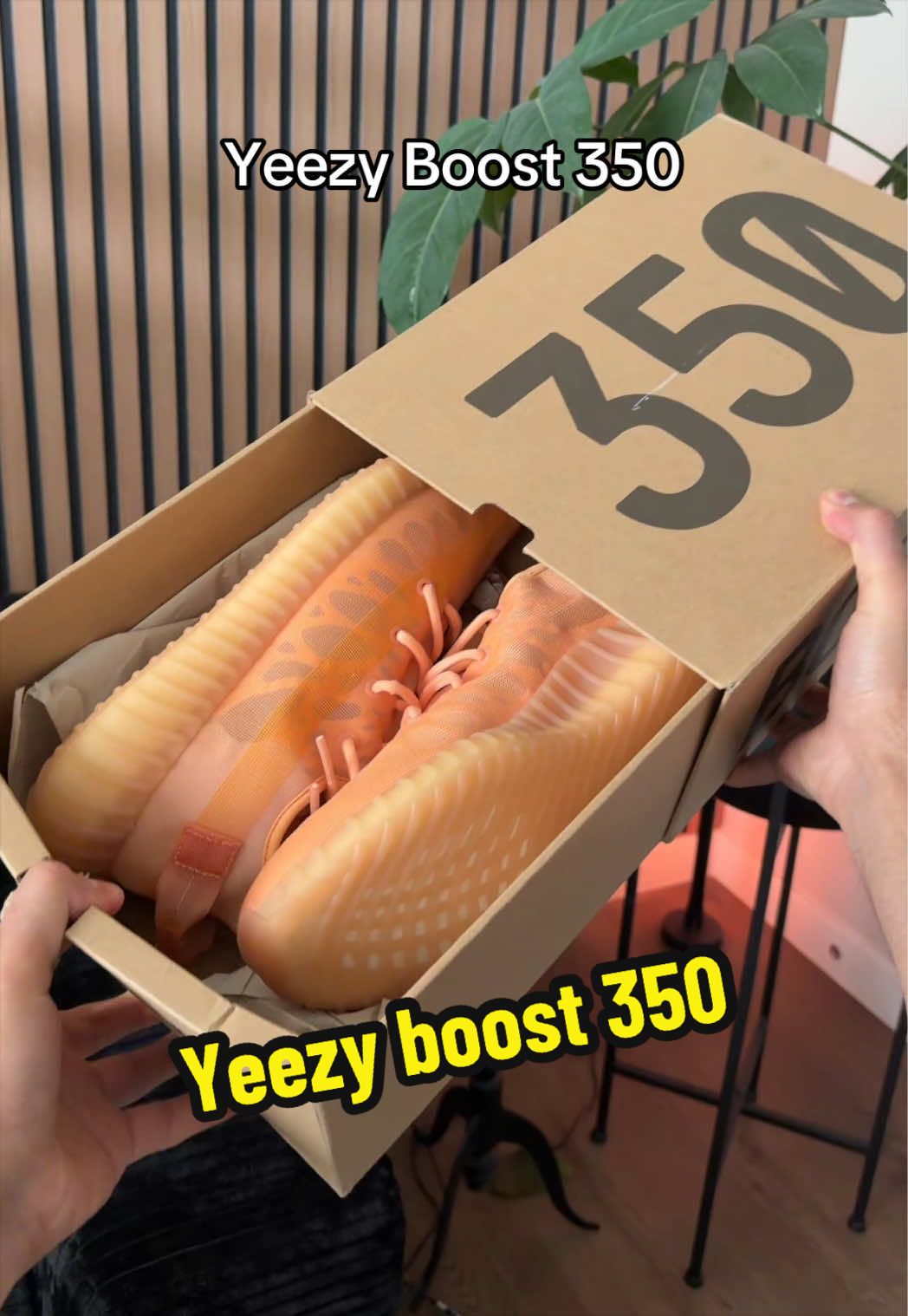 @Ferdieshops