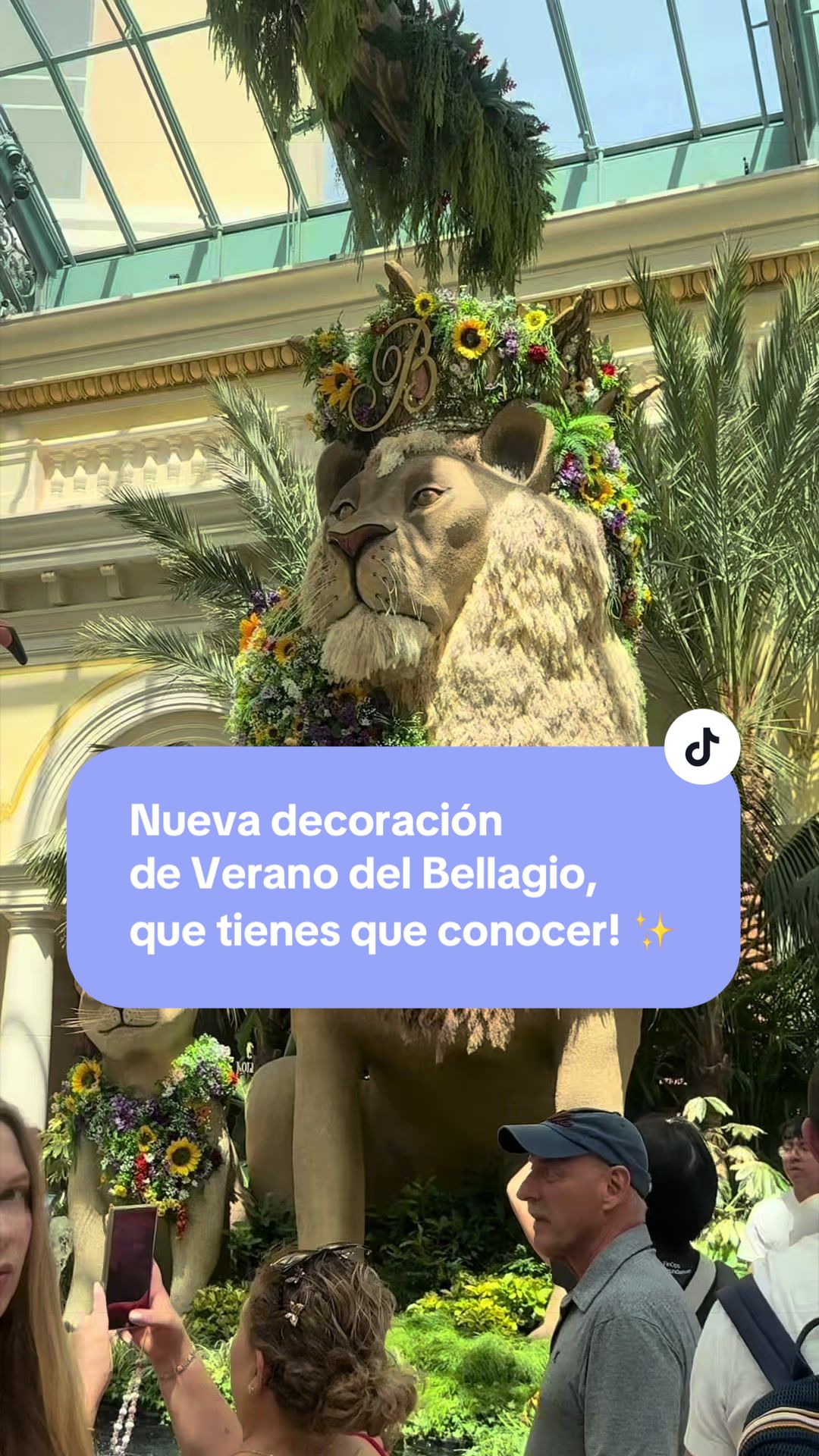 @verocsanchezj