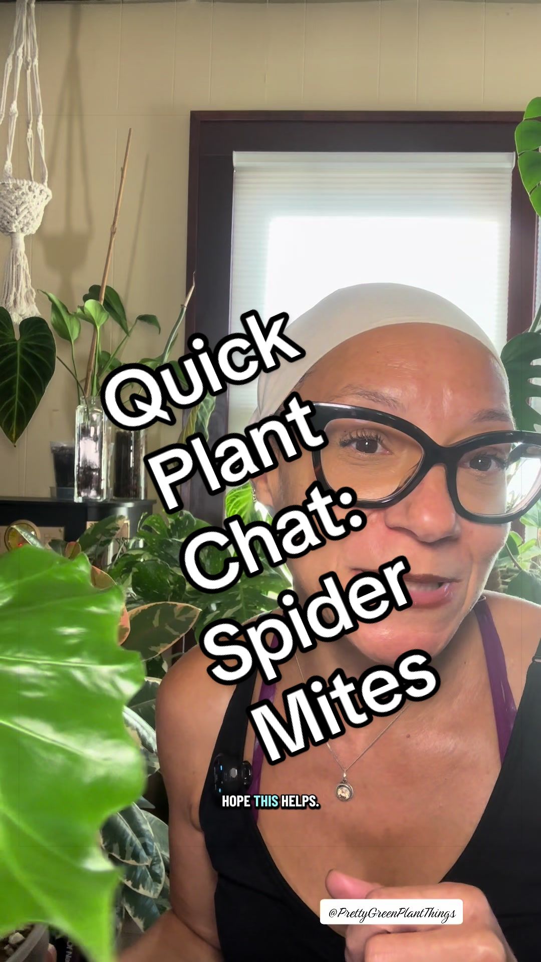 @PrettyGreenPlantThings