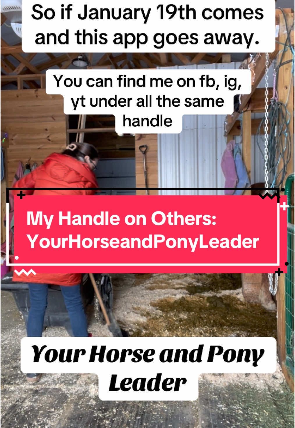 @yourhorseandponyleader