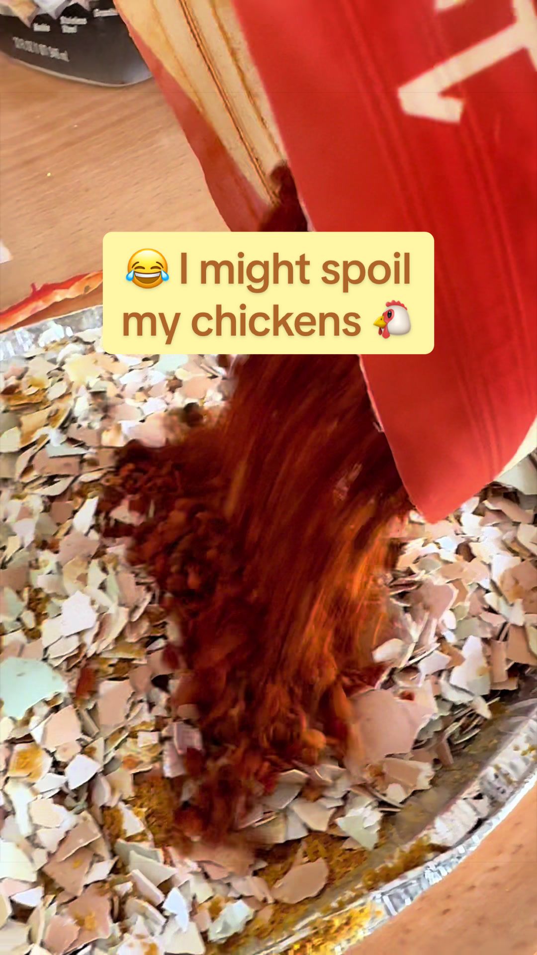 @Amy Jo | Eggnigma Holler 🐔