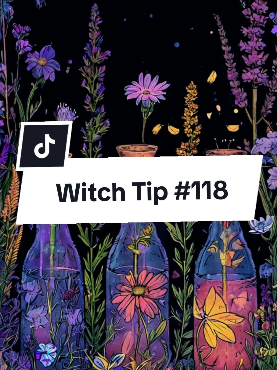 @Mira_TheCatWitch