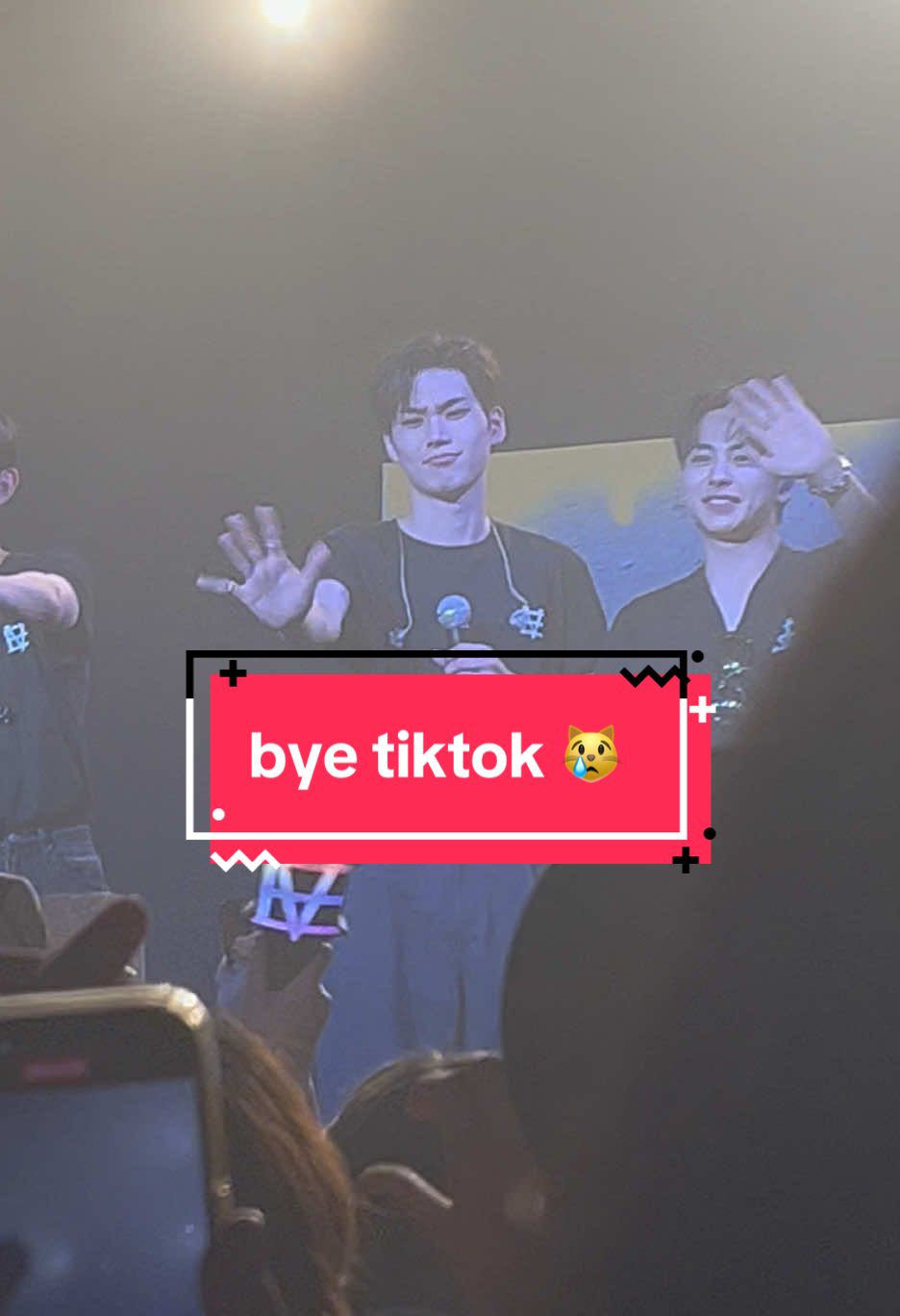 @Lilli