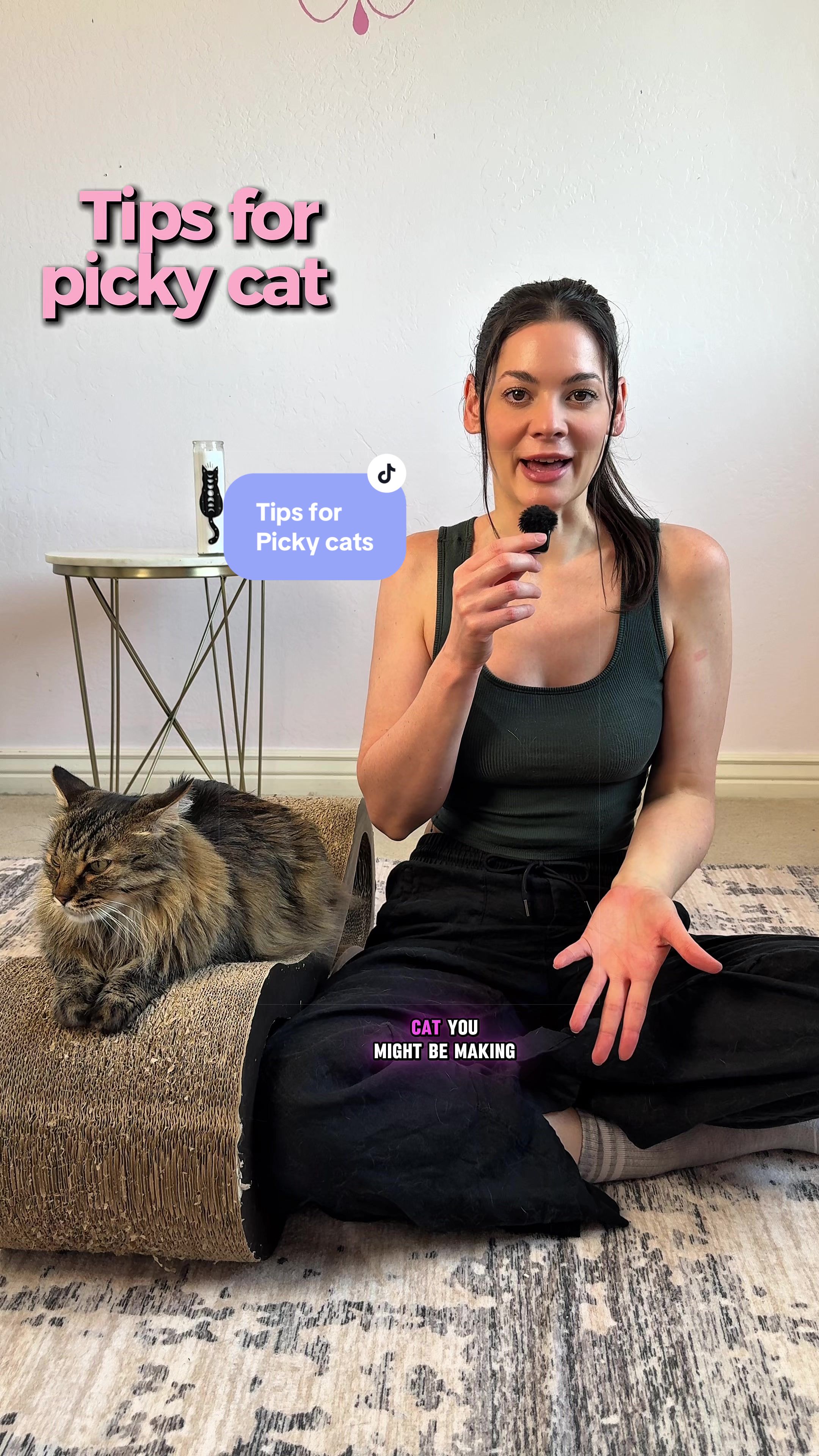 @Feminist Kitty | Cat Nutrition