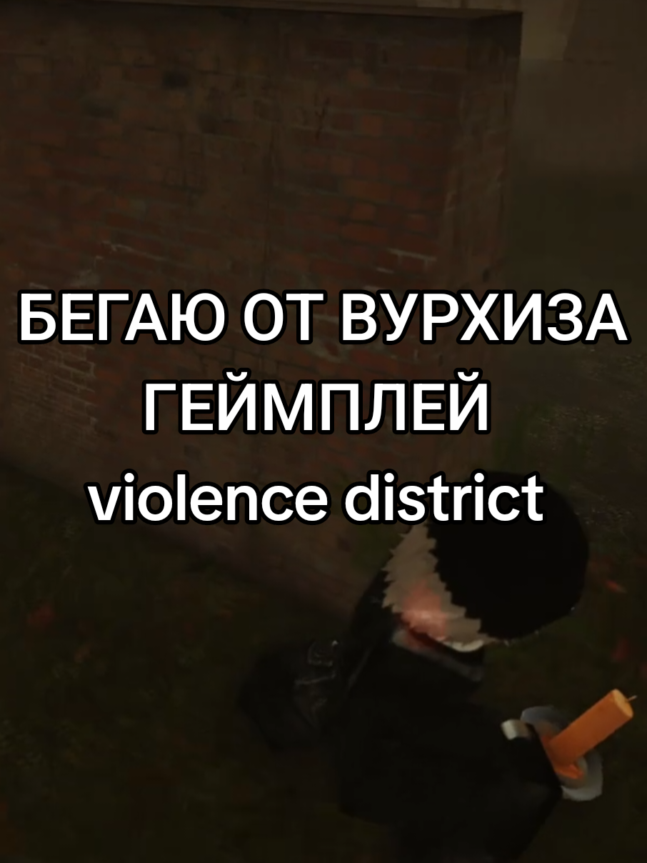 @Сеньор Джантент
