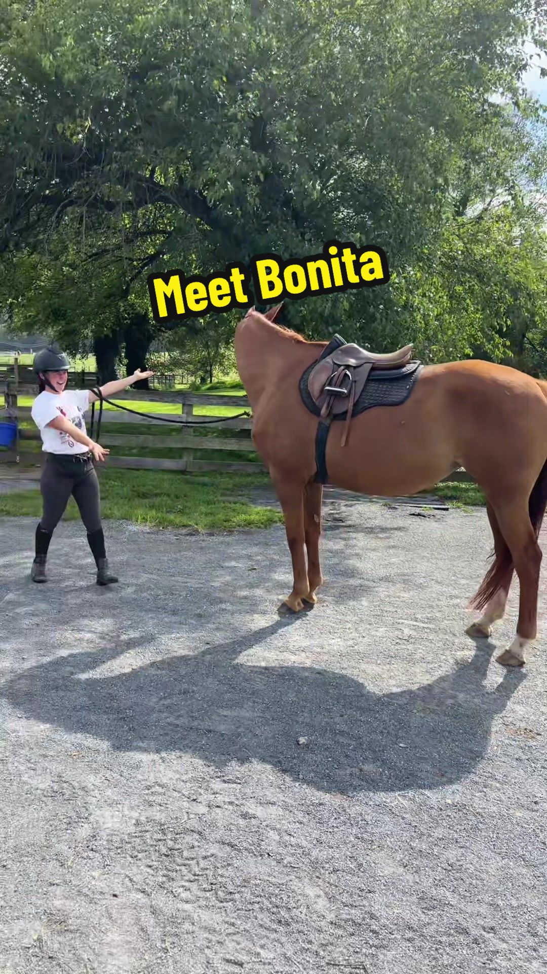 @Days End Farm Horse Rescue