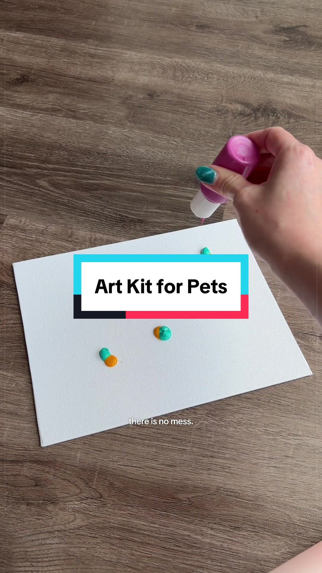 @Archie The Bernedoodle