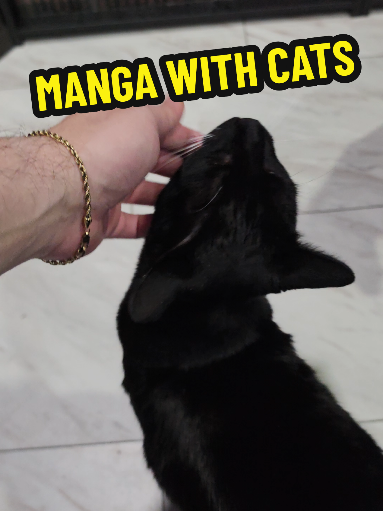@Derek | Manga | Collecting