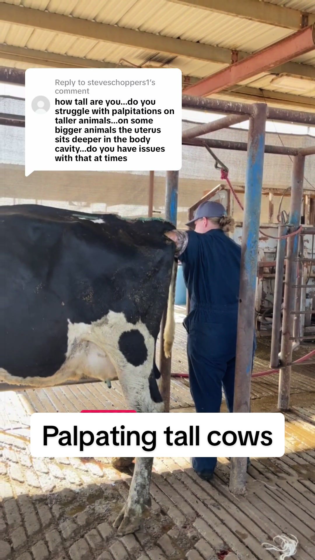 @Dairy Vet Dr. Michelle