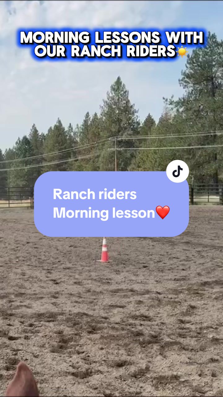 @Supercharge Performance Horses