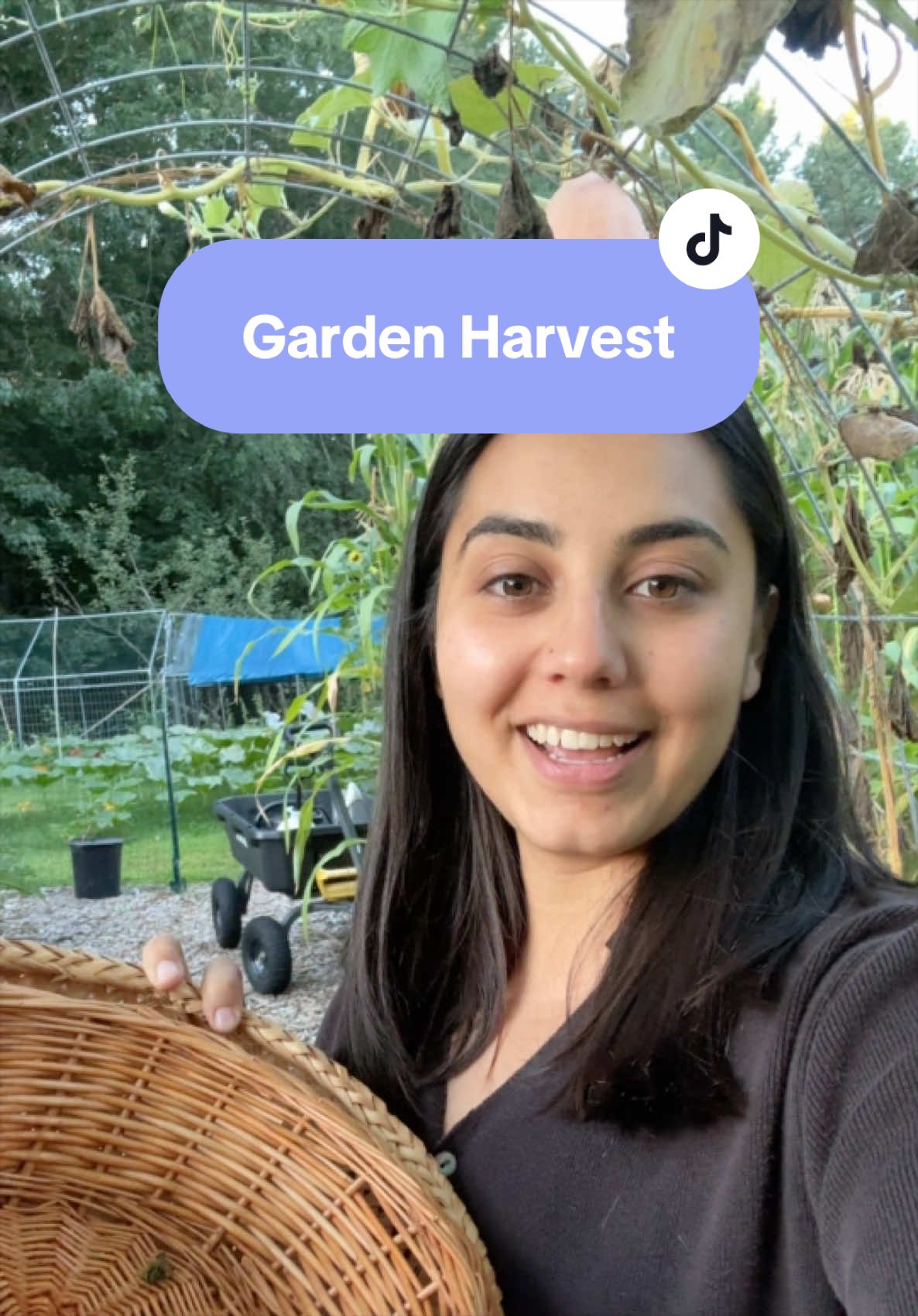 @Manica | zone 6a gardener