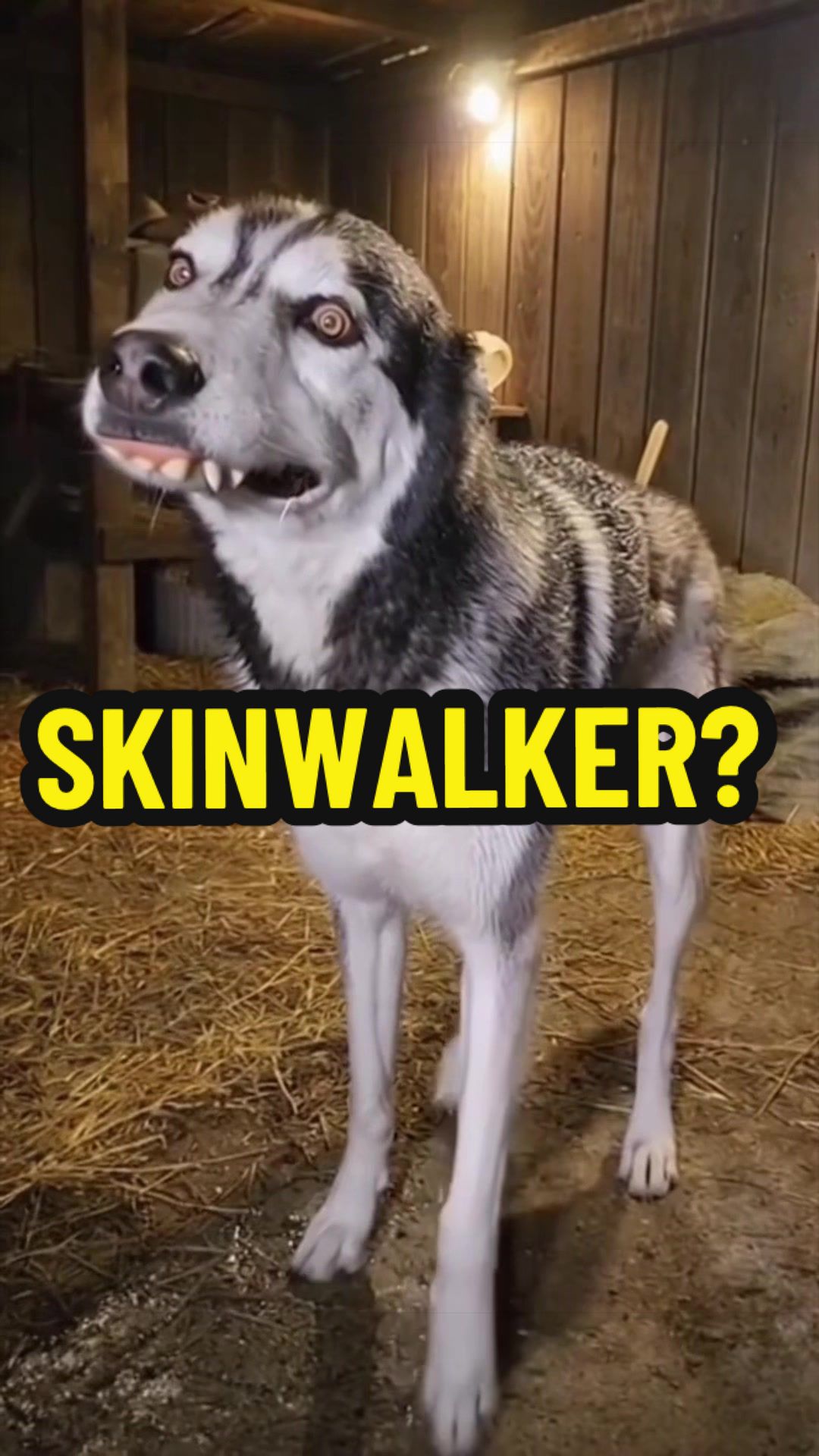 @Caulkdraggin