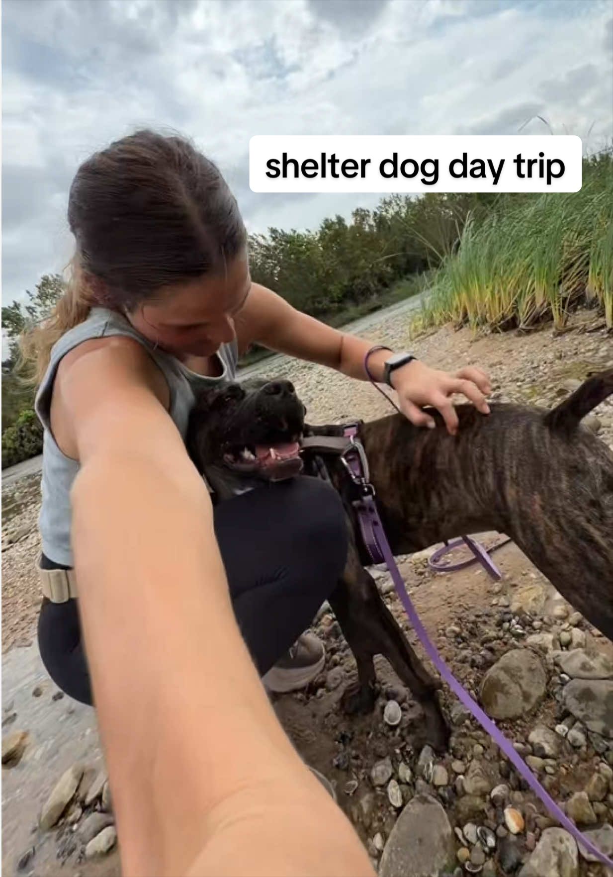 @Abby KPA-CTP | Dog Trainer
