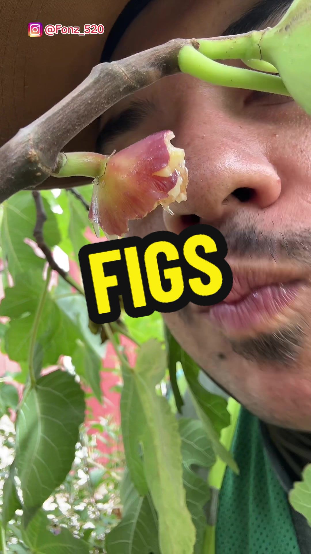 @Fonztradamus