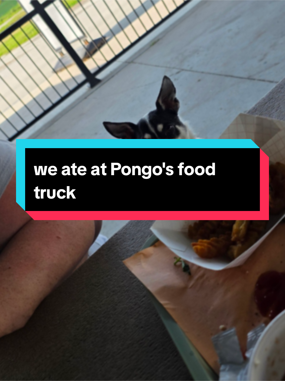 @Mama Pongo